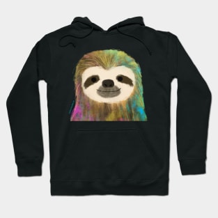 Colorful Sloth Hoodie